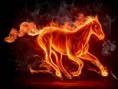 /album/images-33/caballo-de-fuego-jpg/